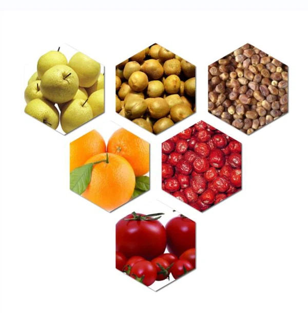 fruit sorting equipments fruit sorting equipments