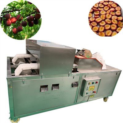 Μηχάνημα εκσκαφής δαμάσκηνου