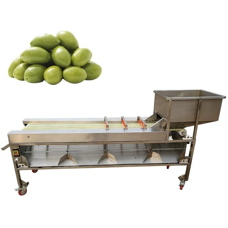 Carrot Processing Line