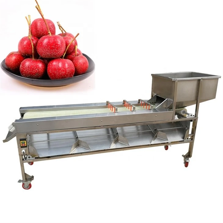 Carrot Processing Line