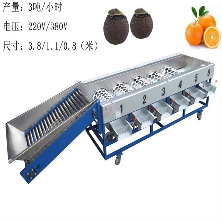 Citrus Sorting Machine