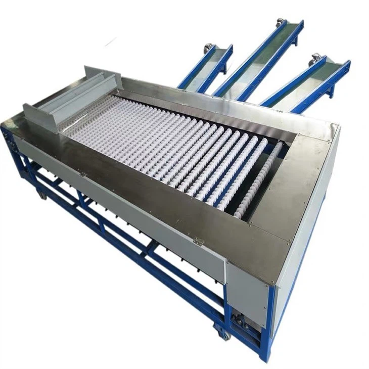 Fruit Sorting Equipments