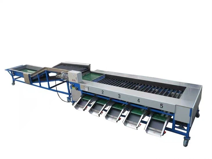 Fruit Sorting Equipments