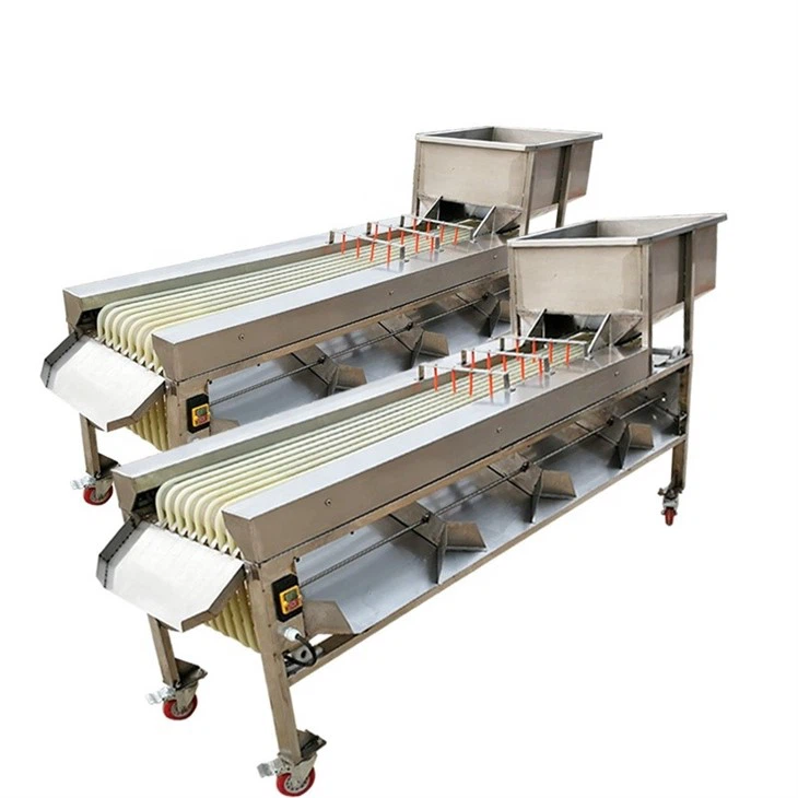 Grading Equipment For Fruits And Vegetables