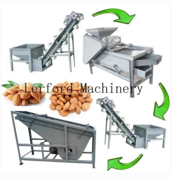 Hazelnut Sorting Machine