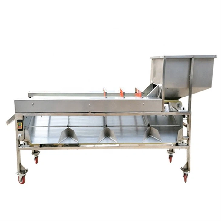 Strawberry Sorting Machine